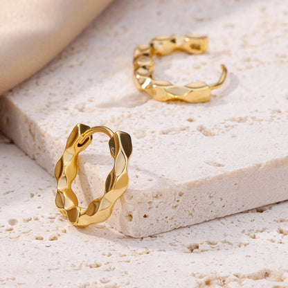 304 Stainless Steel 18K Gold Plated Earrings